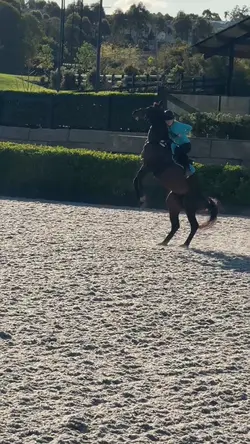 REARRR