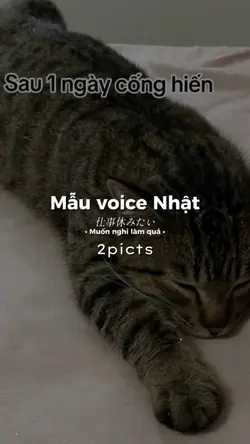 Mẫu voice Nhật