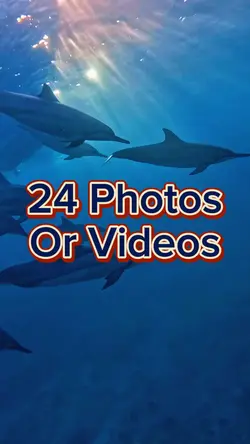 24 Video Slides