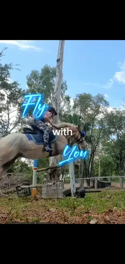 miss jumpin him 80cm