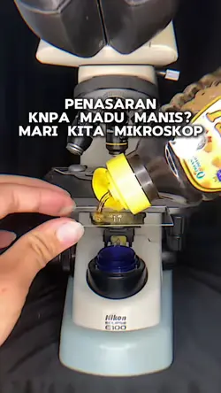 mikroskop madu
