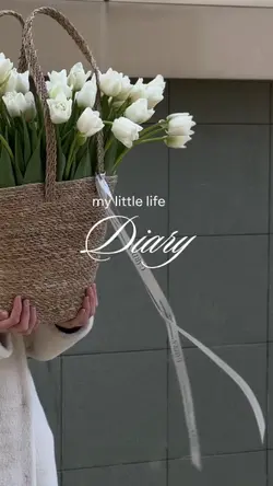 life diary