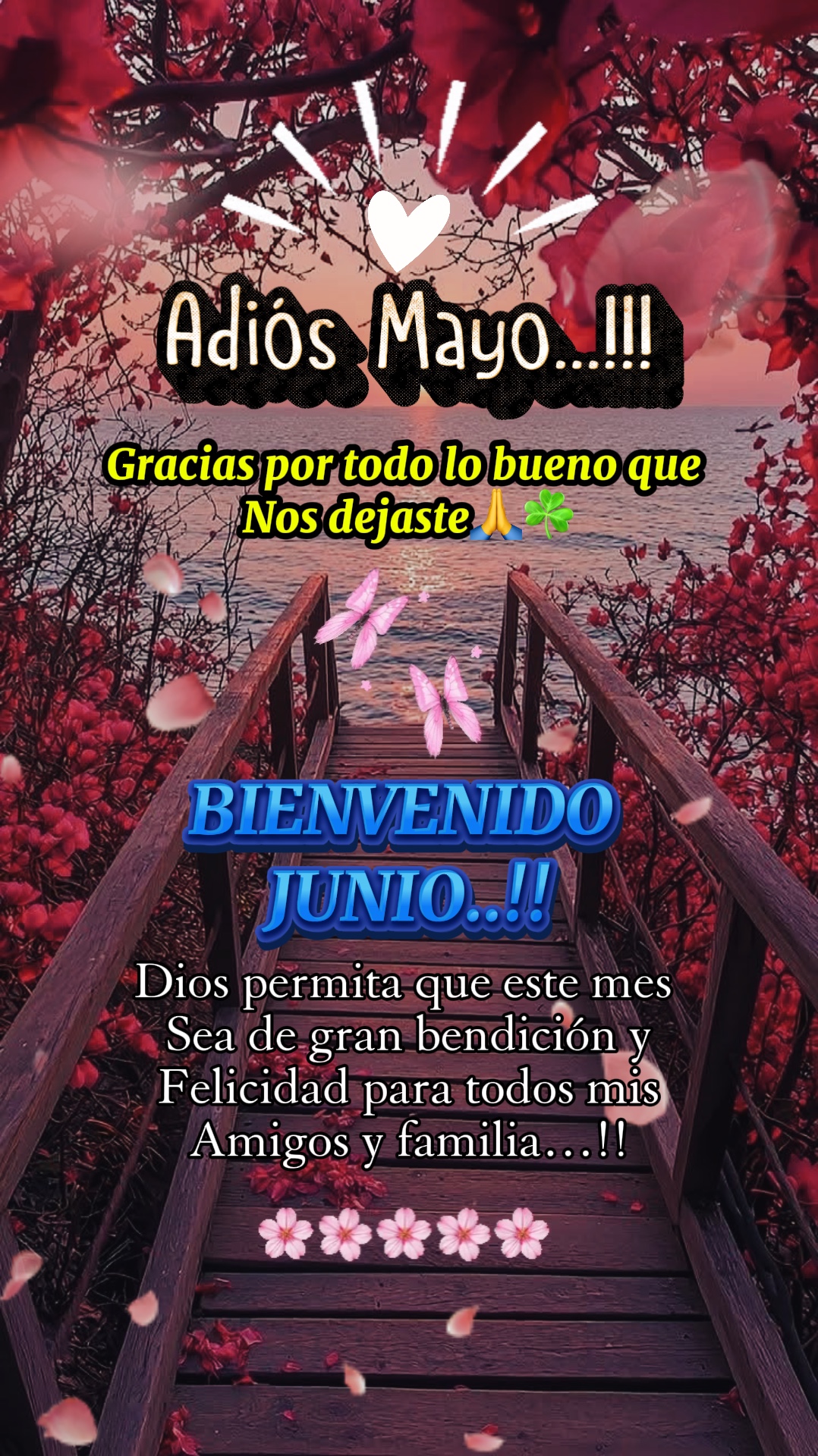 Adiós mayo
