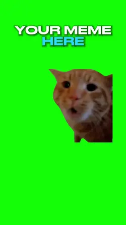 Cat Screaming No