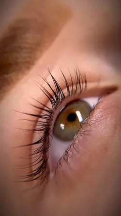 Lash designer