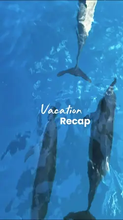 Vacation recap 
