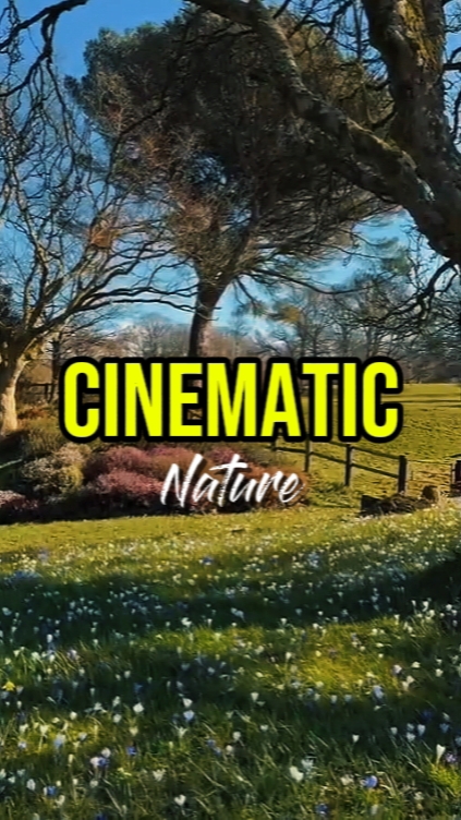 Cinématique