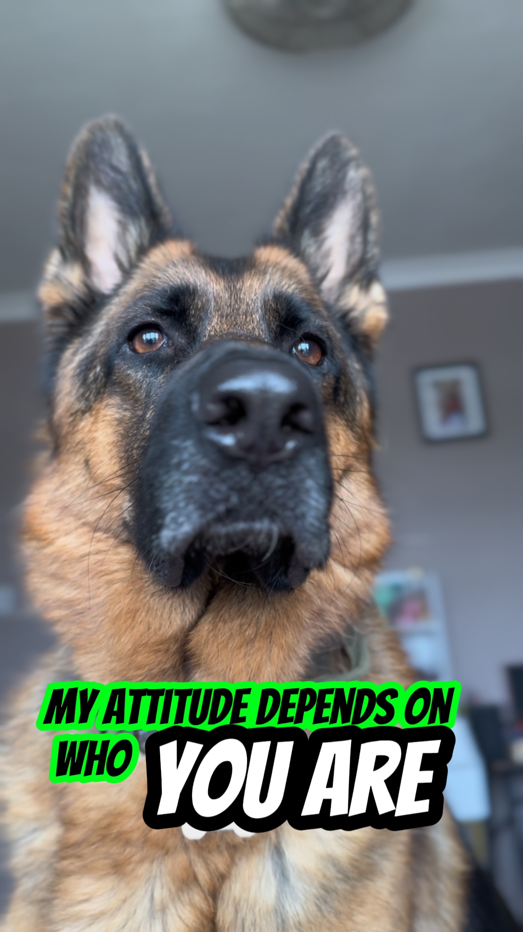 Personality