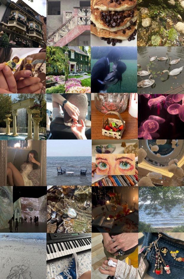 24 fotos
