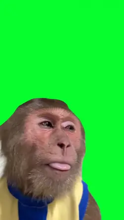 monkey crying