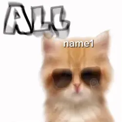 재업 Dancing cat
