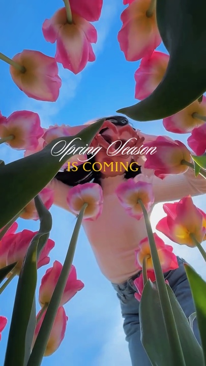14 clips Sailor song