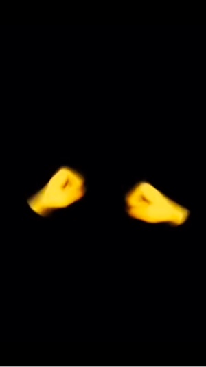 Emoji gosta de você 4