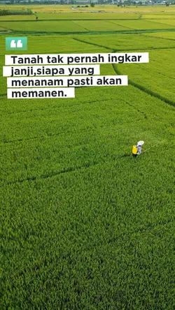 petani sukses