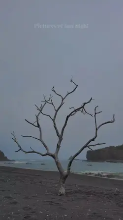 Lirik LastFridayNigh