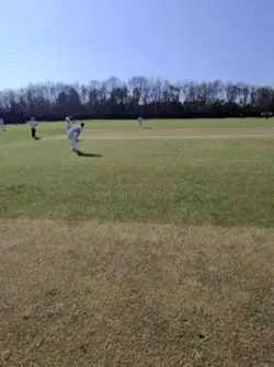Wicket 
