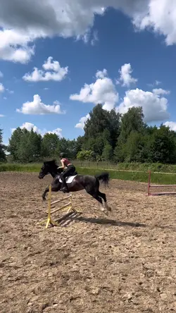 4 clips slowmo