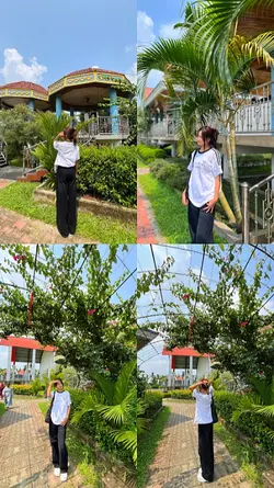 four photo 