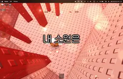 내 소원은….