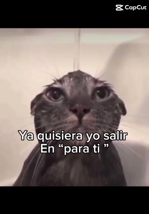 ESTOY EN PARA TI?