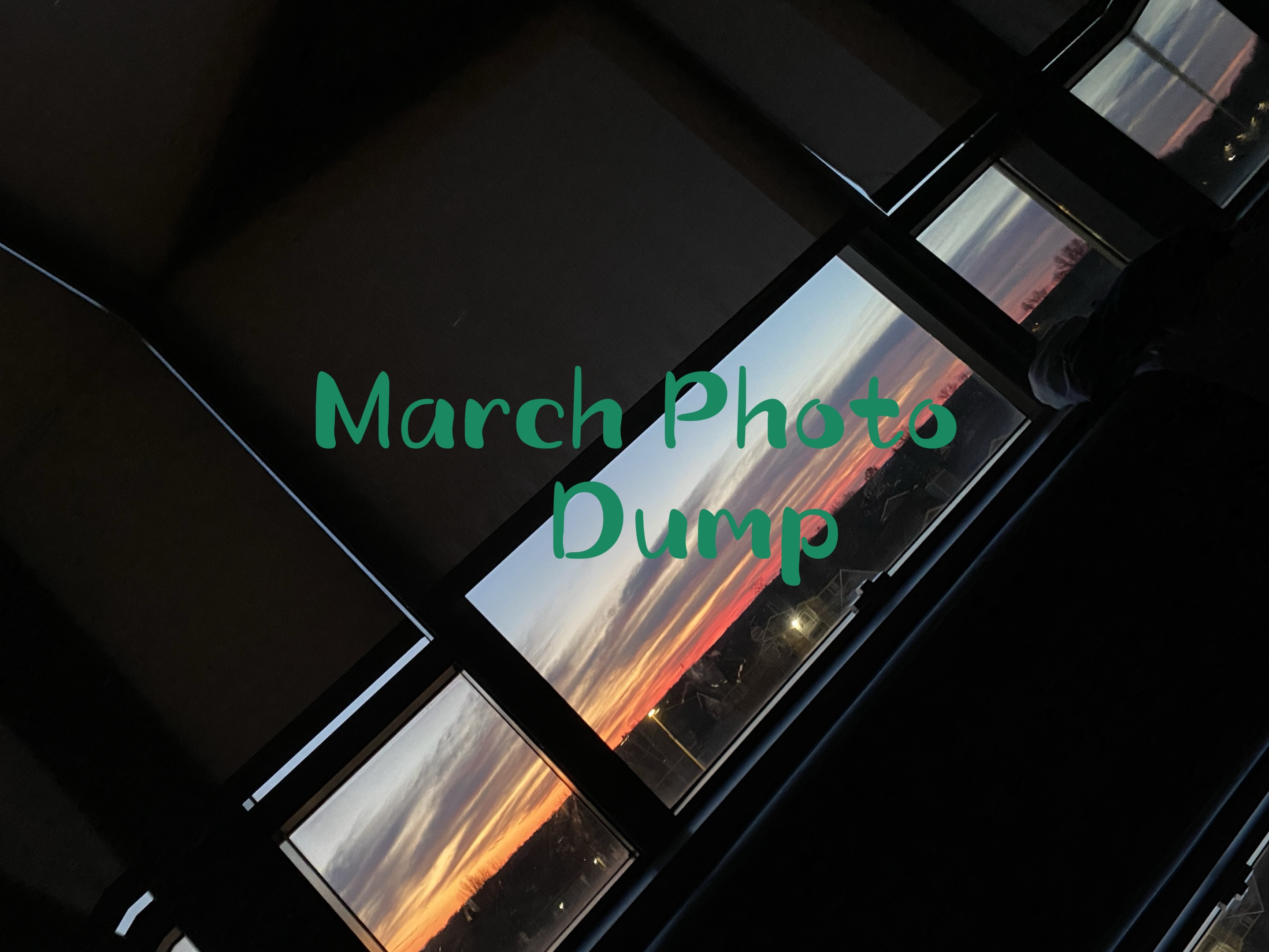 Cover Picture