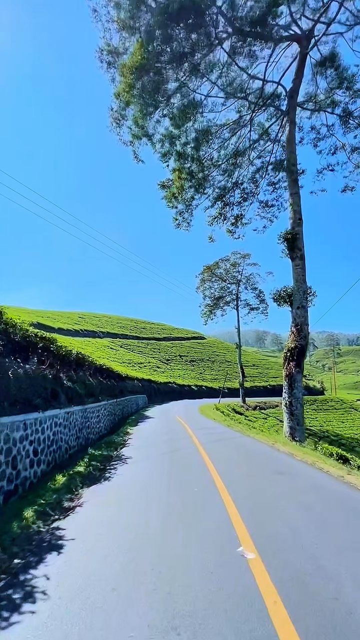 6 Video-Roadtrip