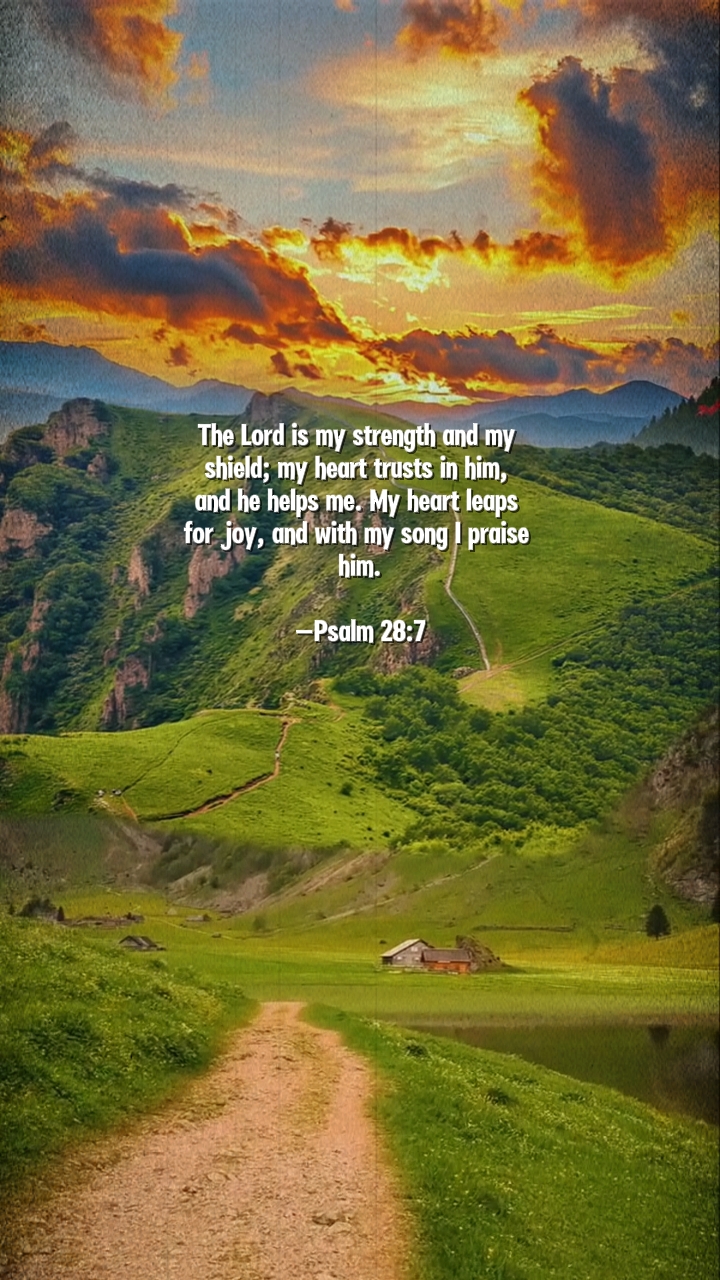 Salmo 28: 7