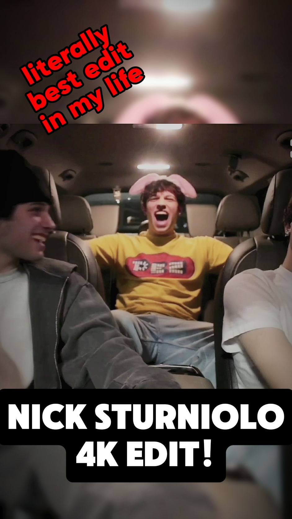 NICK STURNIOLO 4K