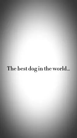 Best Dog In The 🌎