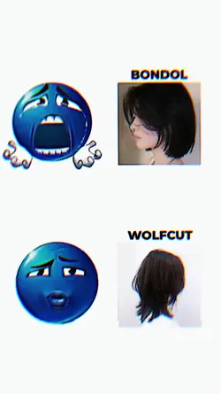 bondol vs wolfcut