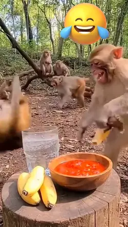 ngakak very vunny ha