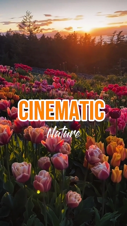 CINEMATIC Nature 