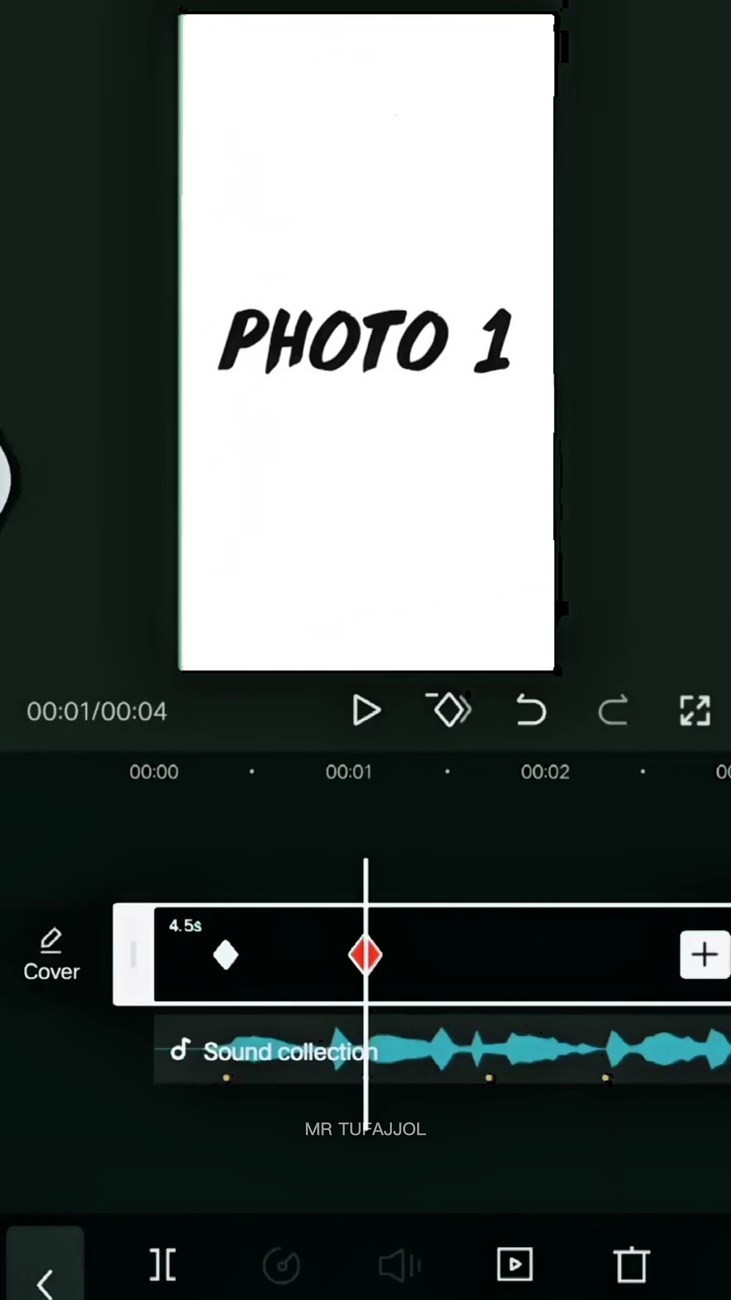 Cover Picture