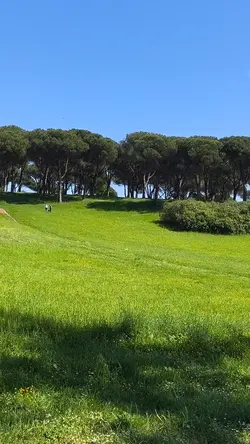 beautiful garden 
