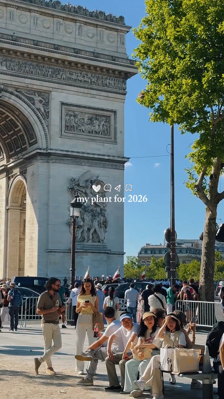 Minha planta para 2026