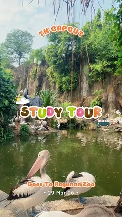 study tour tk