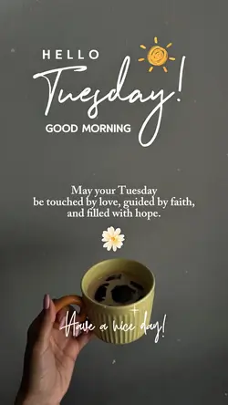 Hello Tuesday 🤍