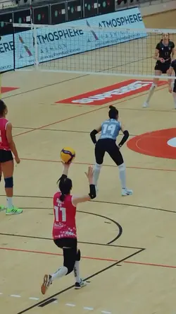 volley