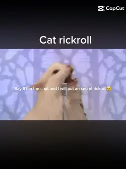 Cat rickroll