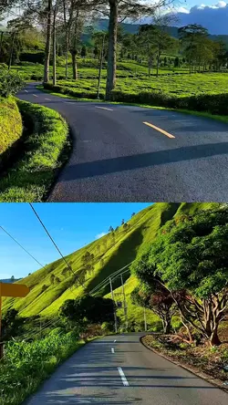 2 video kolase