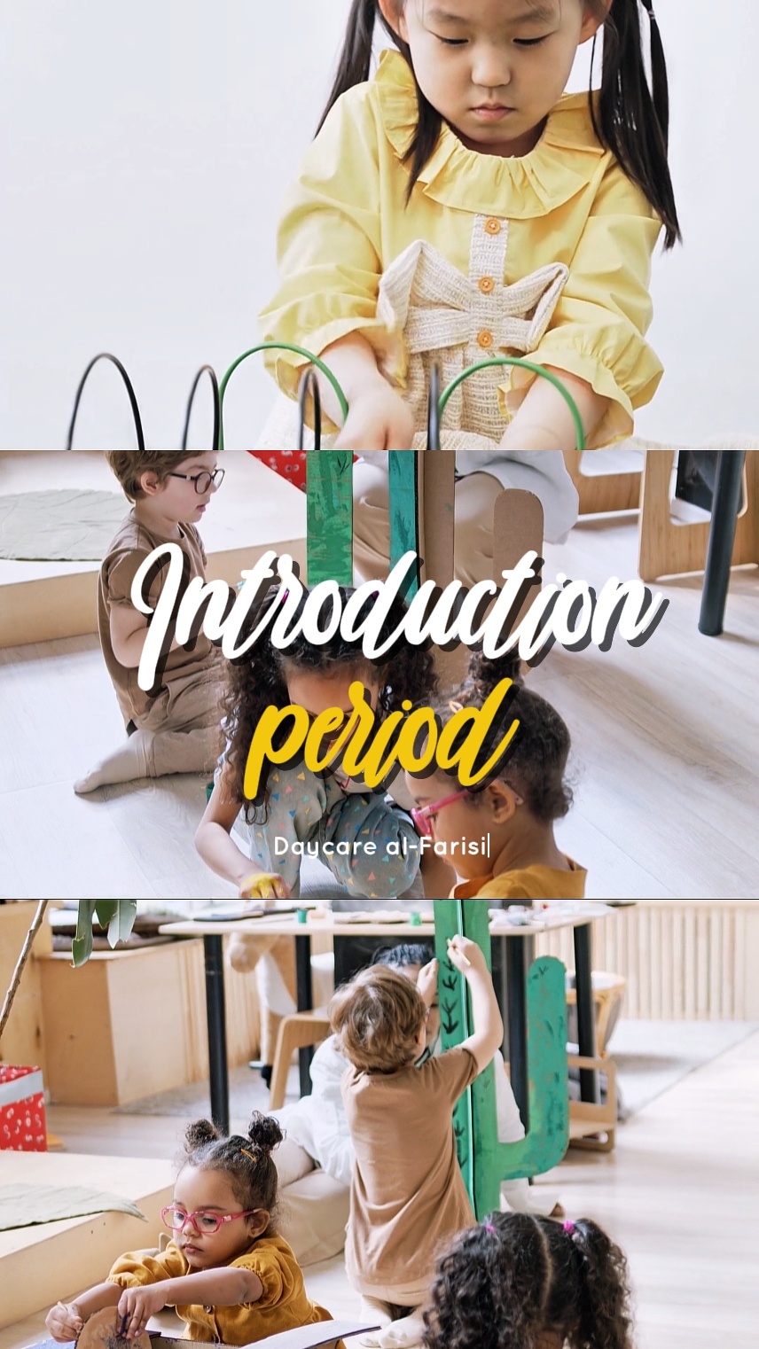 Período de introducción
