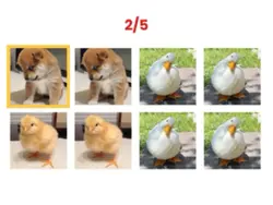 Game say word in the