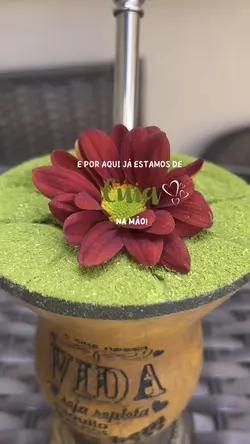 Chimarrão 