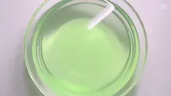 리엔에 채널 규칙