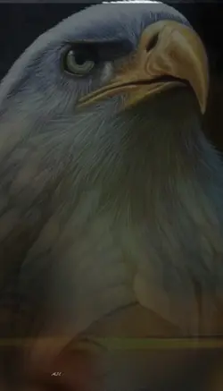 Prestige-Adler الهيب