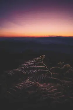 kenangan masa remaja