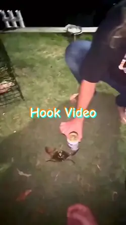 Hook Video