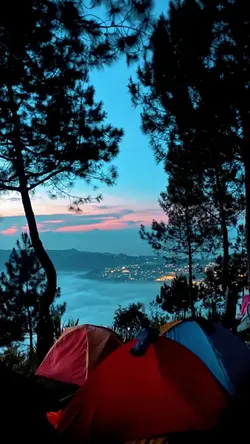 penikmat senja
