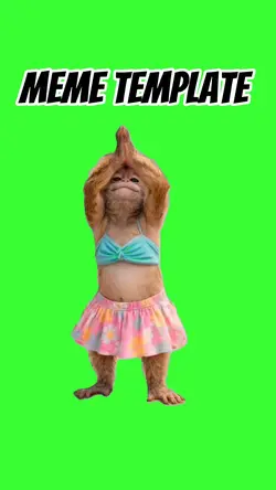 Dancing monkey