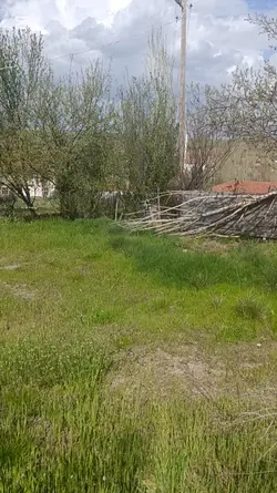 Neco & Ülkü